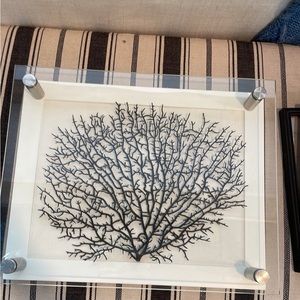 Pottery Barn Black Fan shadow box art coral